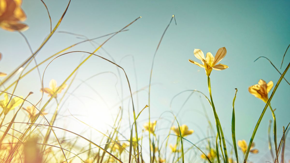 Ez vár ma Veszprémre: napsütés, szél és egy kis csavar