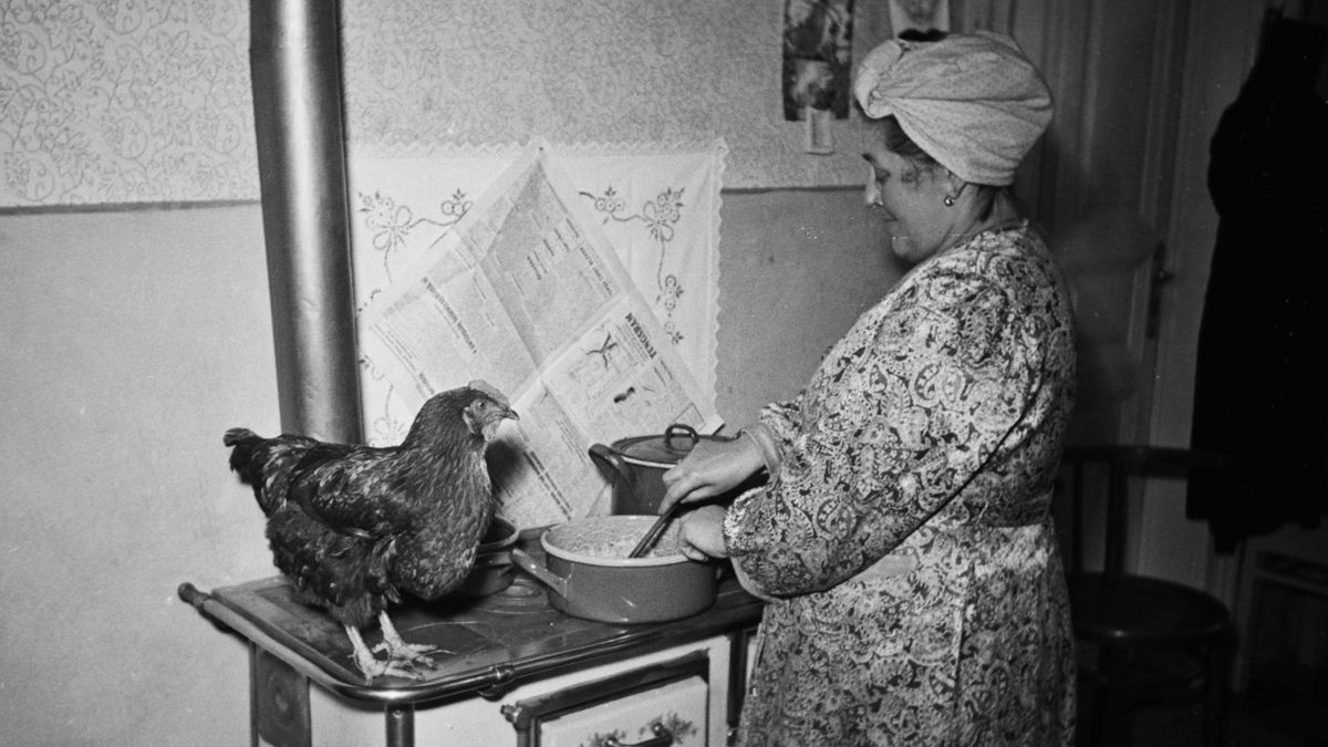 A vidék „bestiái” és gyerekkorunk örömei (+galéria)