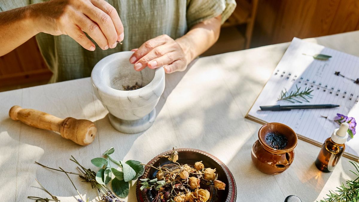 Fűben, fában - a gyógynövények varázslatos világa