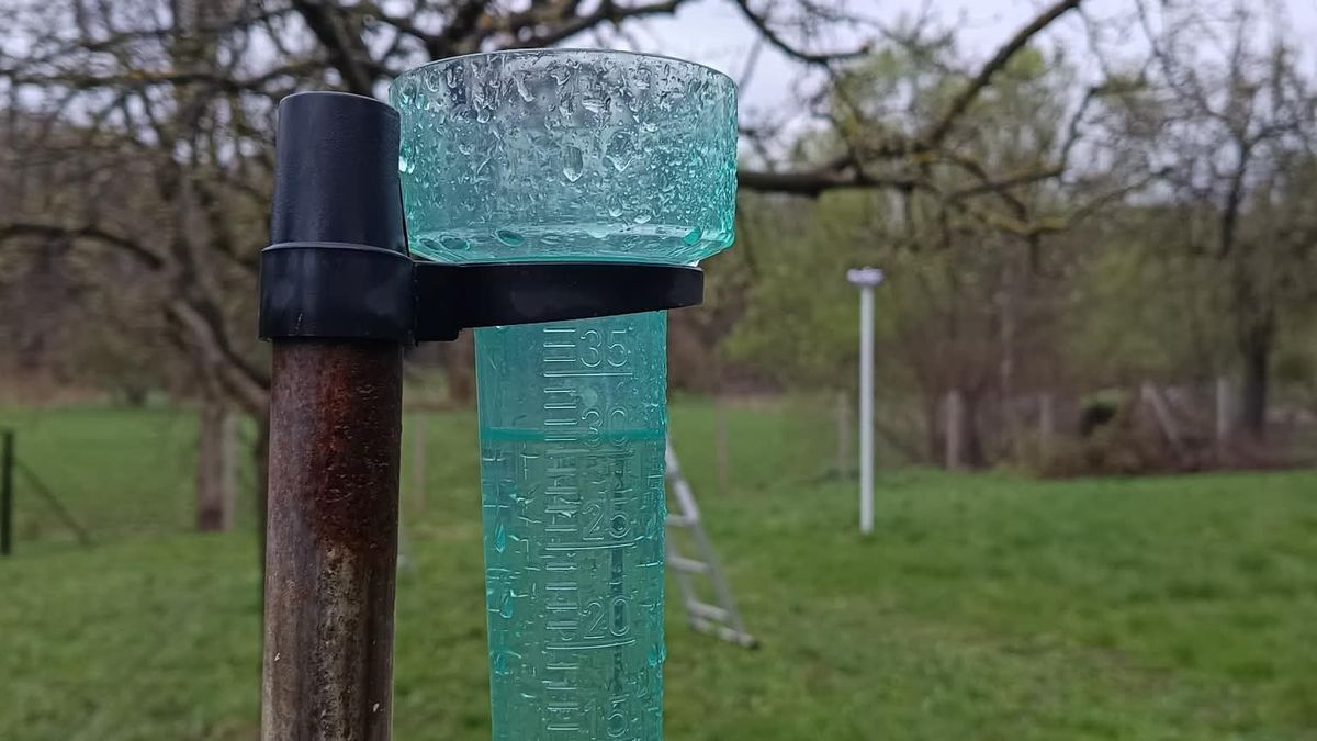 Enyhe volt a márciusunk idén, egy kis hóval, extra csapadékkal a Bakonyban