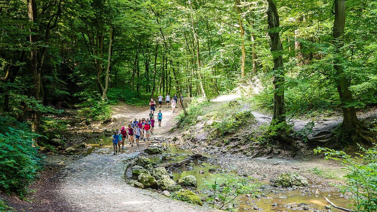 Kirándulás családdal a tavaszi szünetben: 4 remek célpont Veszprém megyében