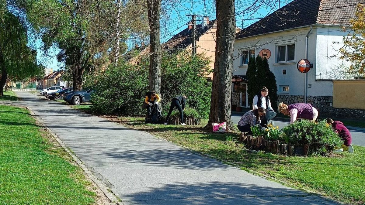 Pápai iskola is döntőbe jutott a Zöld Jövő pályázaton