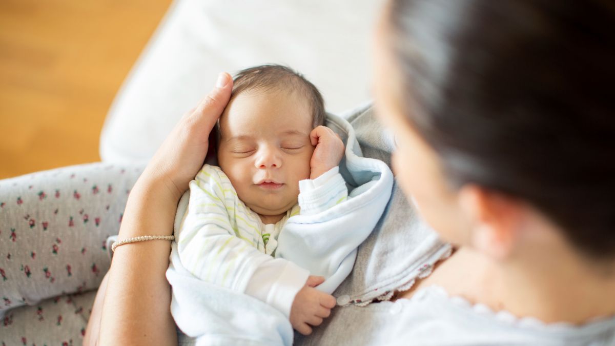 13 újszülött jött világra, köztük egy ikerpár is