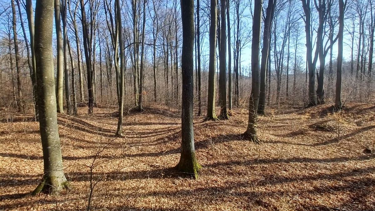 Titkok a Bakony mélyén: ősi sírokra és eltűnt településekre bukkantak a kutatók (galéria, videó)