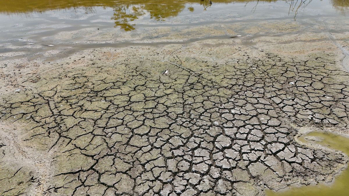 Nem jók a kilátások: szélsőséges időjárás várhat ránk nyáron