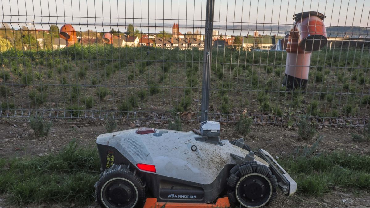 Fűnyírás a Balatonnál: mikor szabad és mikor tilos?