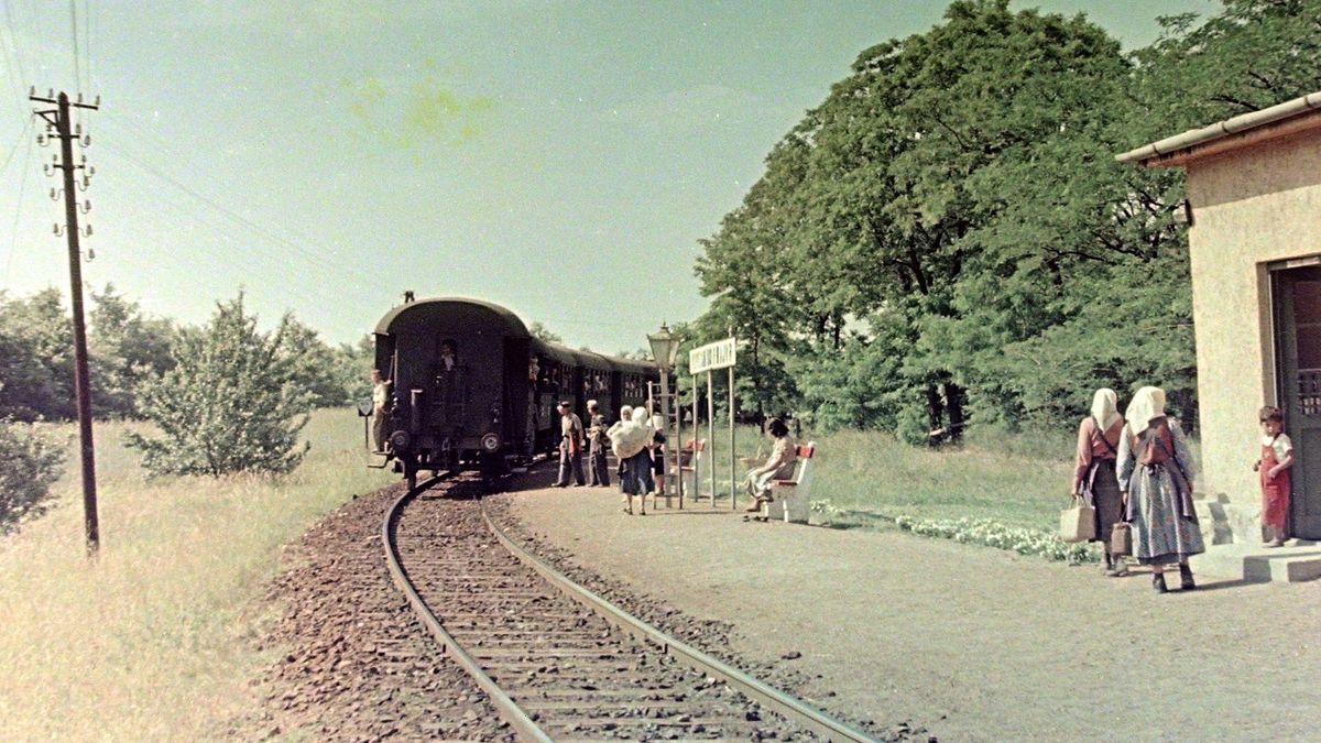 Retró fotókon zakatolhatunk vissza a Bakonyvasút múltjába
