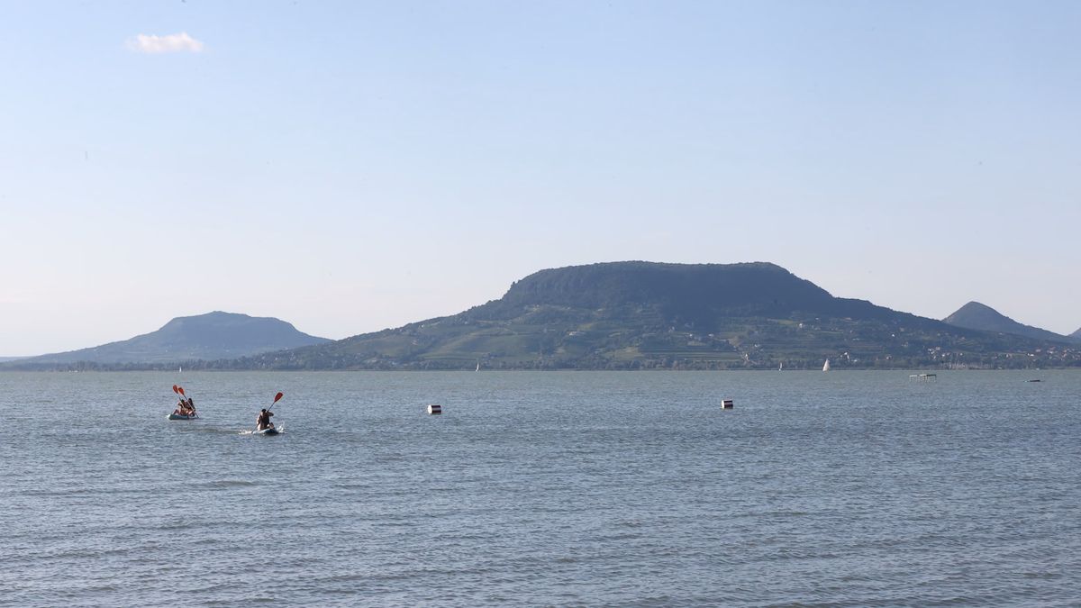 Veszélyben a Balaton élővilága?