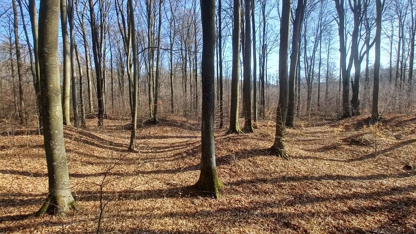 Titkok a Bakony mélyén: ősi sírokra és eltűnt településekre bukkantak a kutatók...
