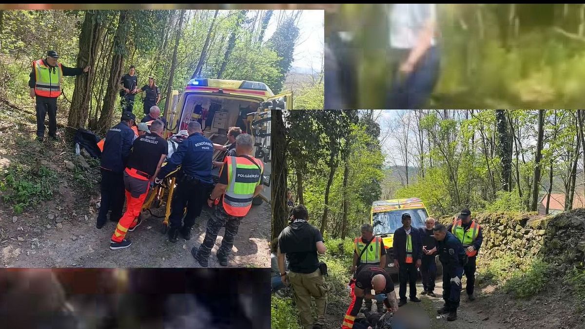 Megtalálták az eltűnt idős hölgyet Tapolca közelében – összehangolt keresés hozott eredményt (videó)