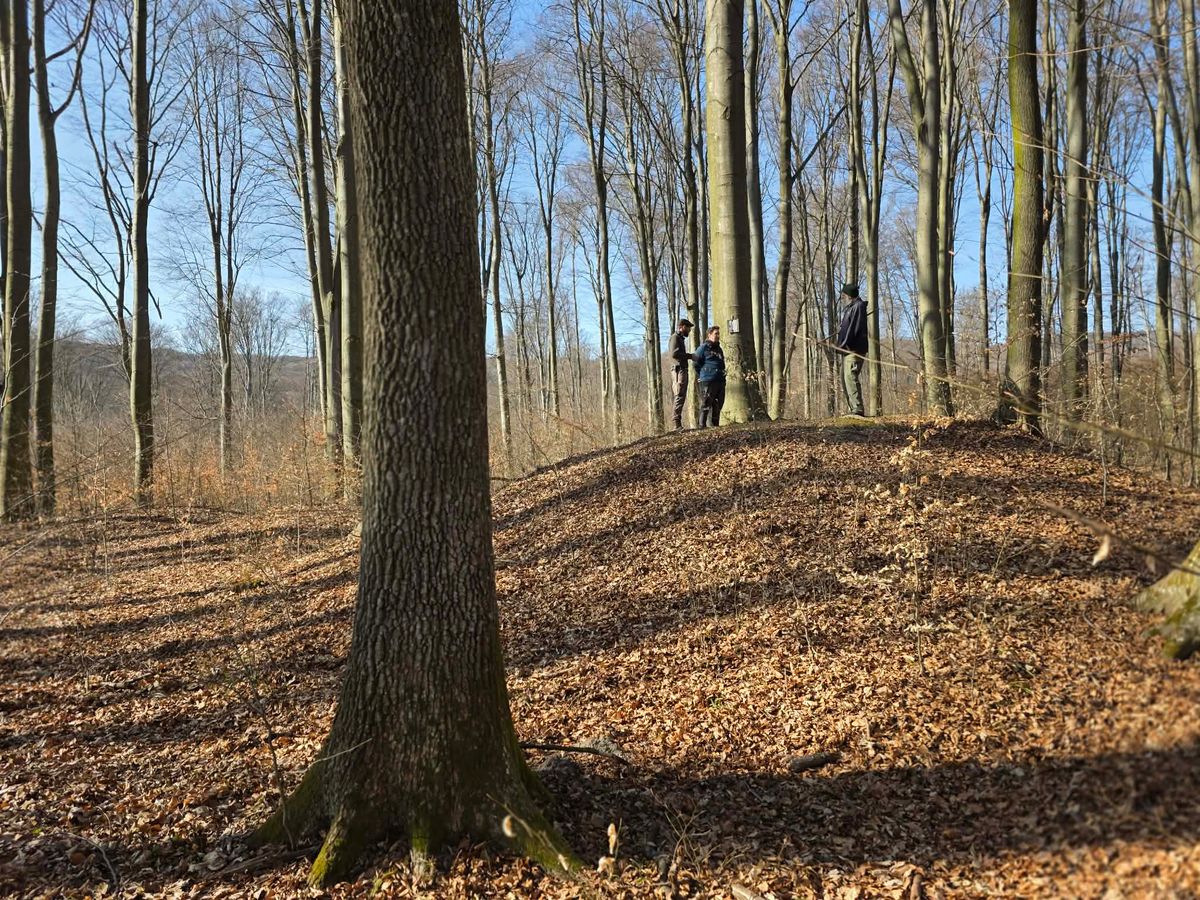 A kutatócsoport a Bakonyt és környékét járja őskori lelőhelyek nyomát keresve Forrás: Ásónyomon - az ELTE BTK Régészeti Intézet bronz- és vaskoros csapata