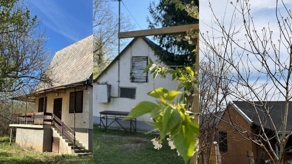 Top 3 olcsó balatoni nyaraló: megfizethető ingatlanok a nyári élményekhez