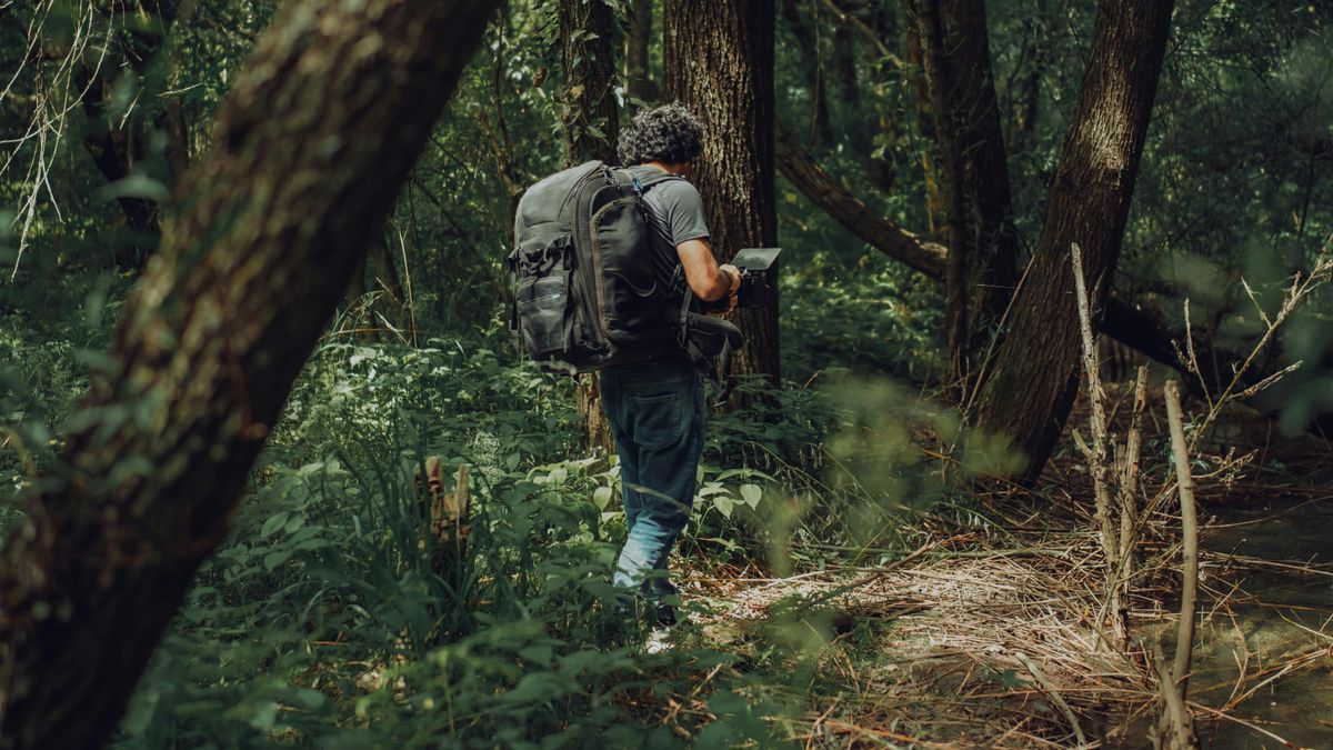 Kirándulóknak figyelmeztetés: ezért jöhet brutális bírság a Balatonnál