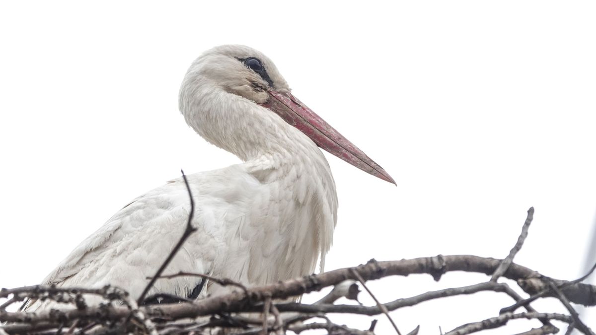 Derült hajnal, felhősödő délután: Ilyen idő vár ránk hétfőn
