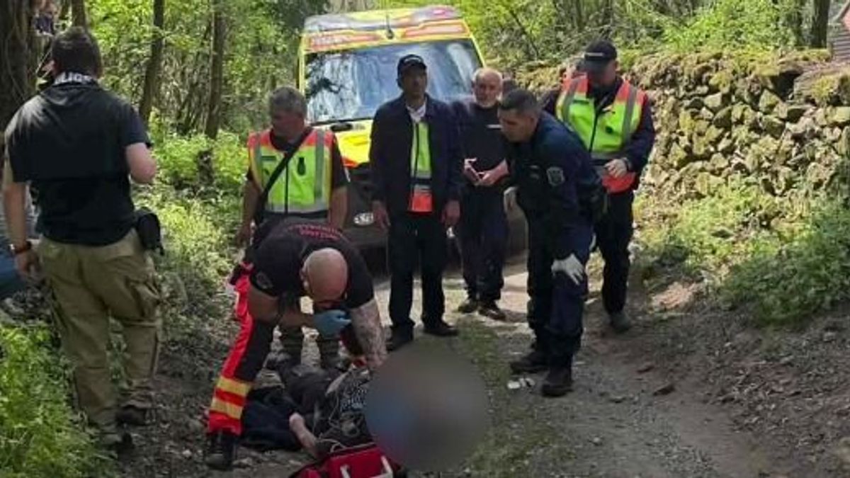 „Ezt nem tudjuk eléggé megköszönni” – megható levelet írt az eltűnt nő családja