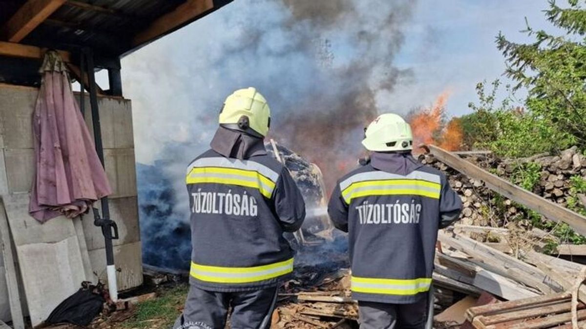 Balesetek, vonatütközés és tűzesetek is adtak munkát a tűzoltóknak Veszprém vármegyében
