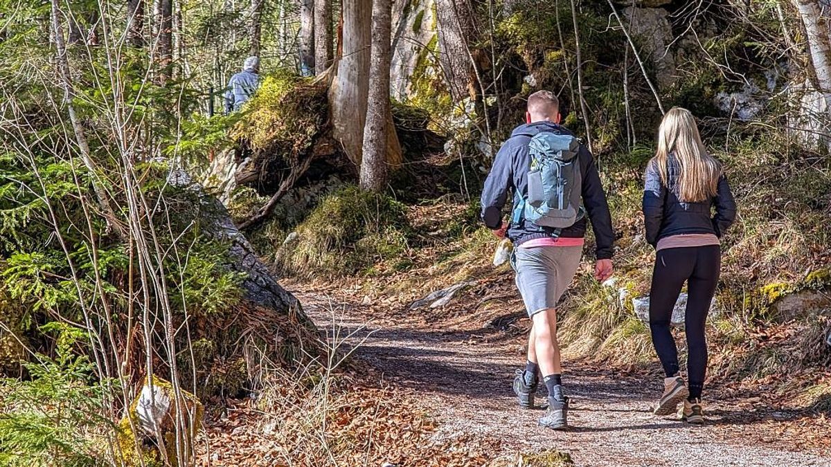 Jó hír a kirándulóknak – a tavaszi eső hozta a fordulatot
