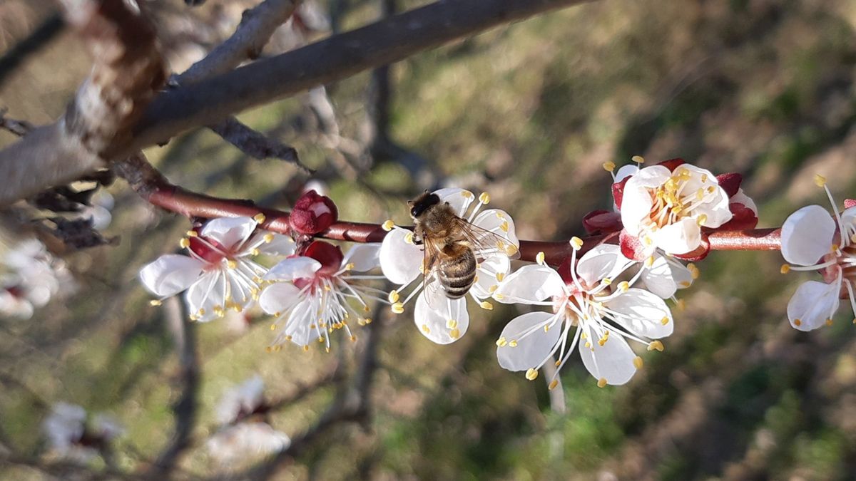 Napfény és szél: változékony vasárnap vár ránk