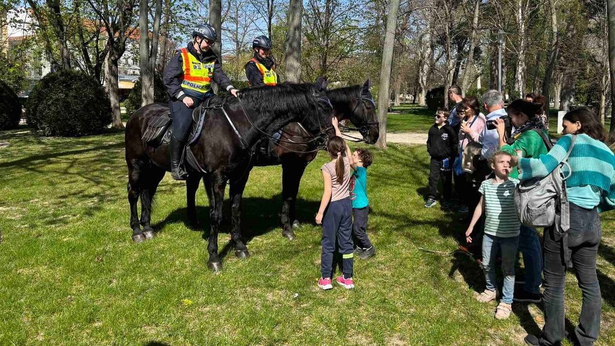 Lovas rendőrök vigyáztak a biztonságra a Balatonnál