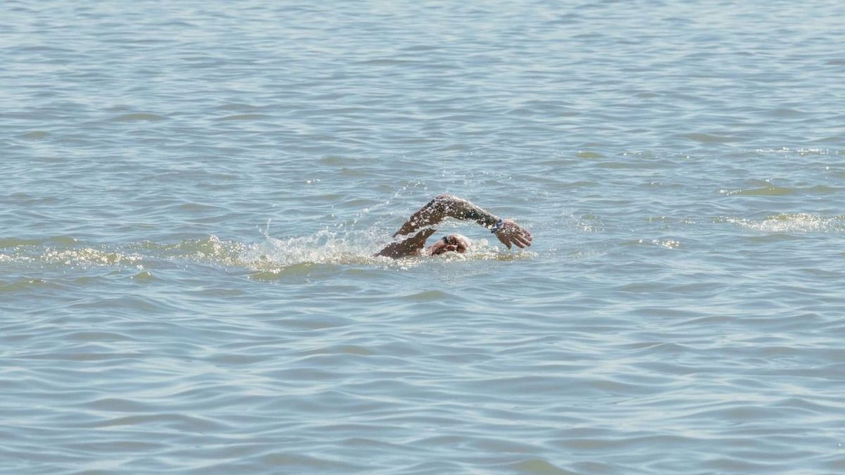 Nevezés indul a Balaton-átúszásra: minden, amit tudni kell