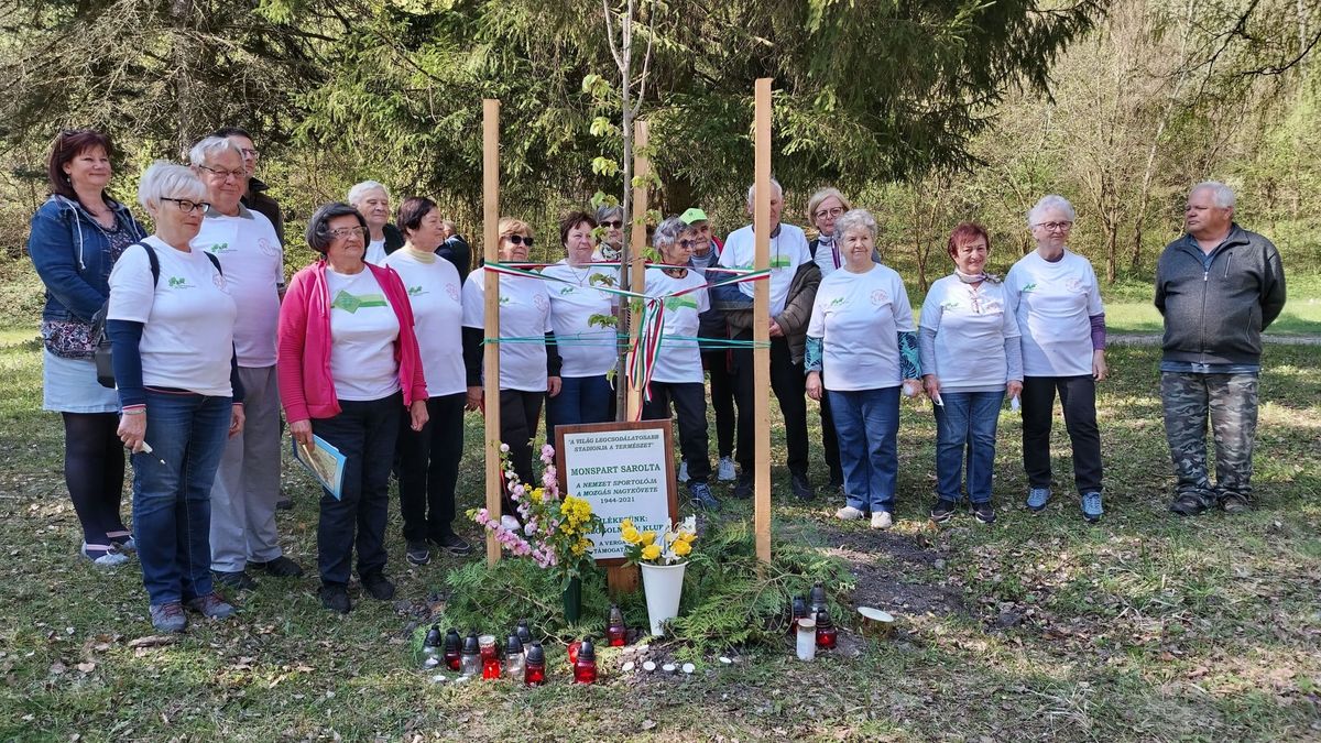 Hársfa őrzi a sportoló emlékét