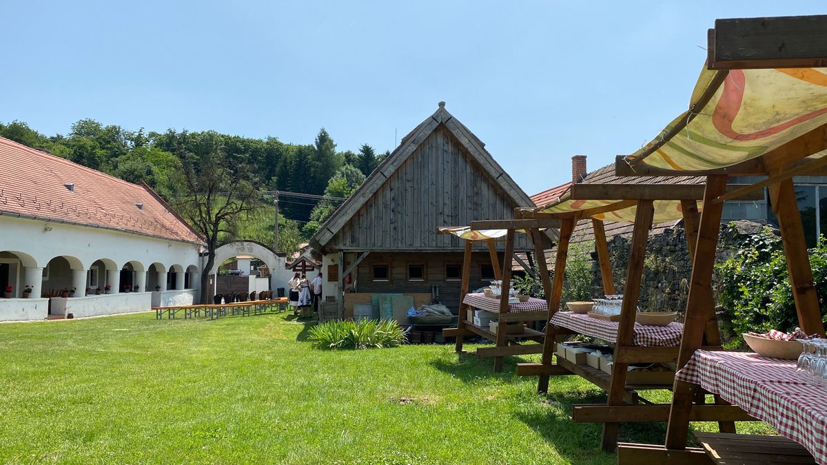 A bölcsek a Bakonyban kávéznak, és lenyűgöző, mi mindenre hívnak még mindannyiunkat