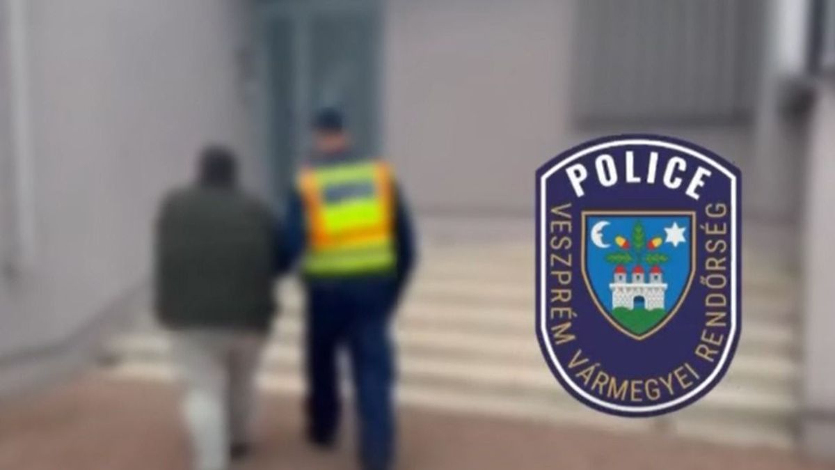 Letartóztatták a nyolcmilliós osztrák lopás gyanúsítottját (videó)