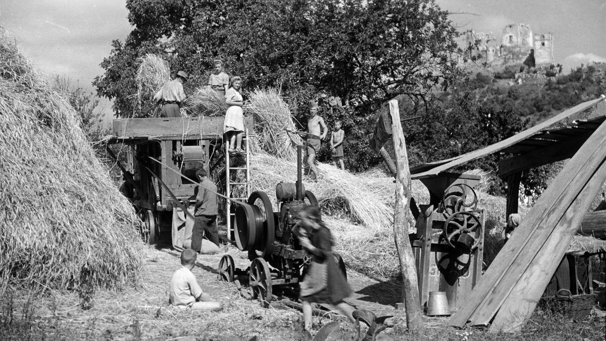 Bakonyi időutazás – Így dolgoztak 77 éve a híres várrom lábánál (képgaléria)