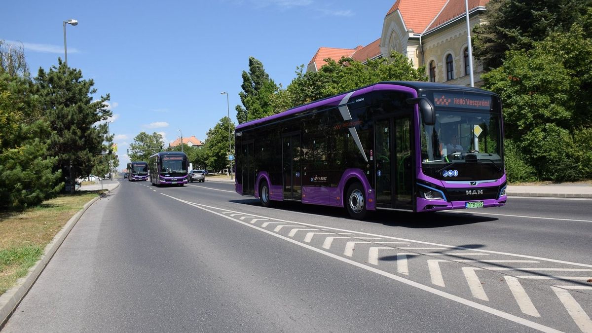 Erre készülj: több veszprémi busz útvonala is módosul
