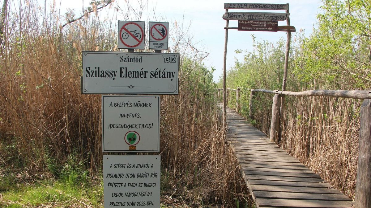 Titkos balatoni strandot, lépcsőt és kilátót mutatunk, a közösségi barkácsolás eredményei (galéria)