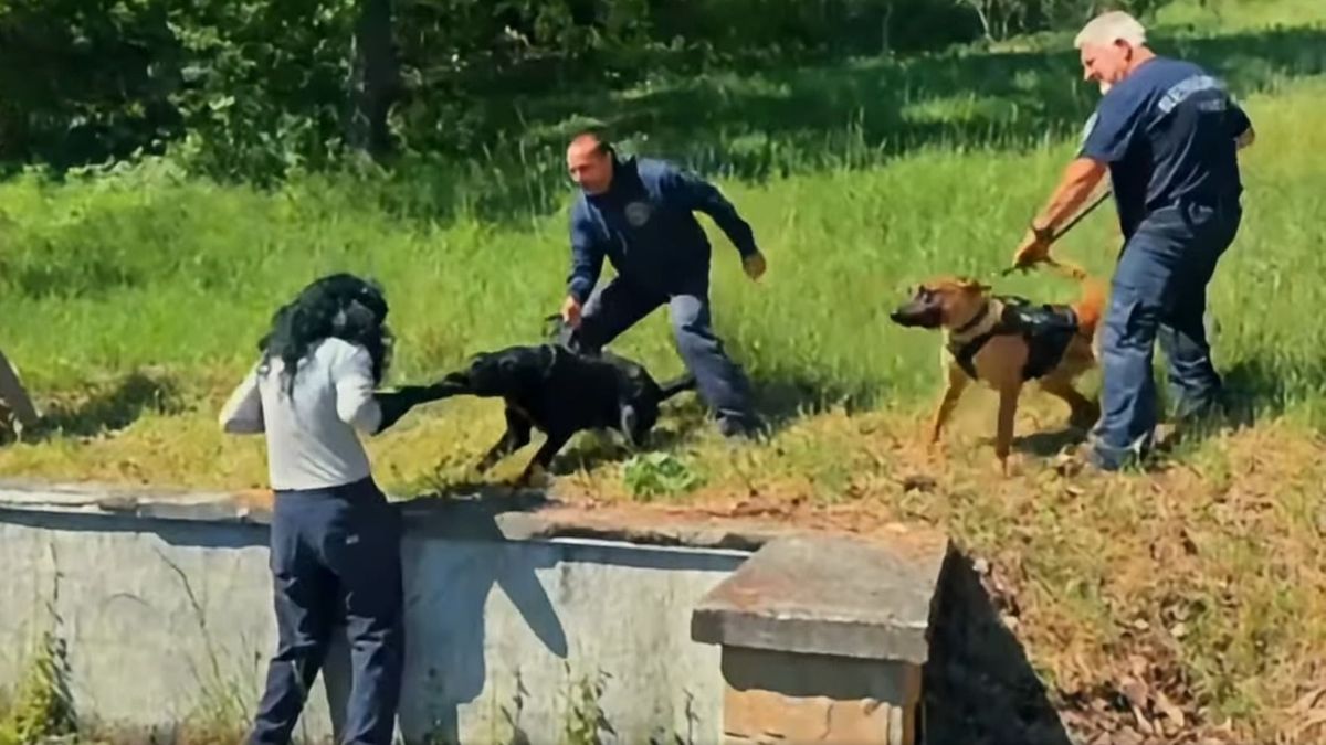 Durva szituációkra készültek a rendőrkutyák – három vármegye fogott össze a kiképzésen (+videó)