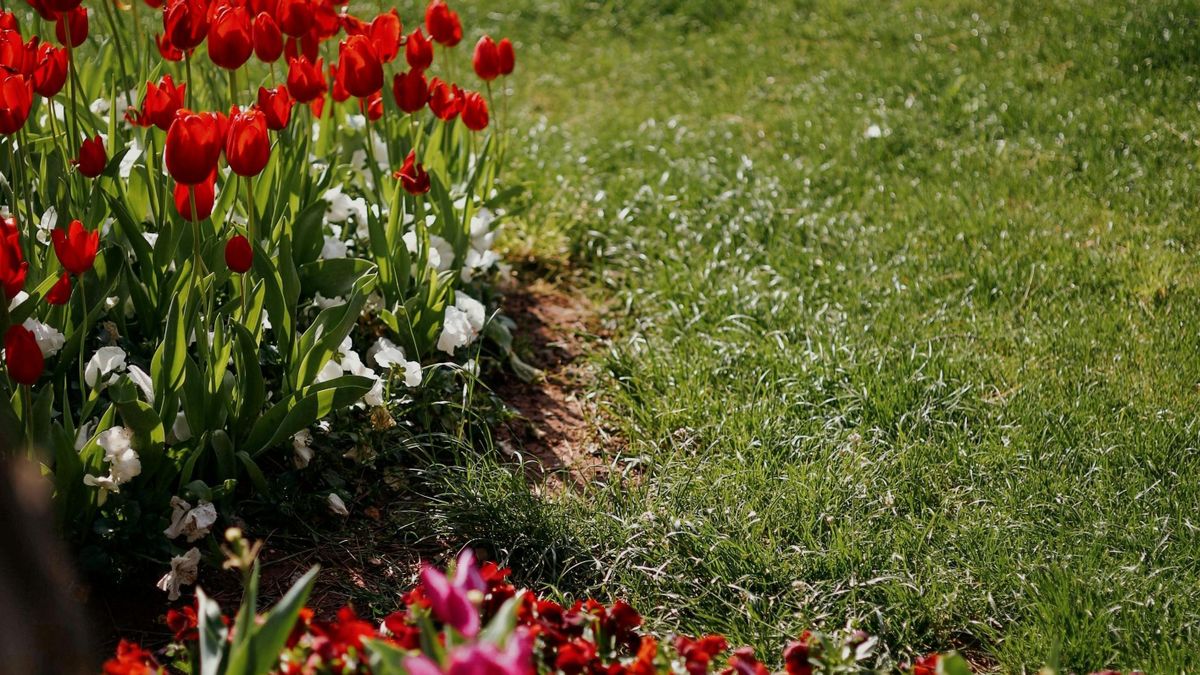 Vágatlan május – Lustaság? Nem, a nem tevés a hasznos most