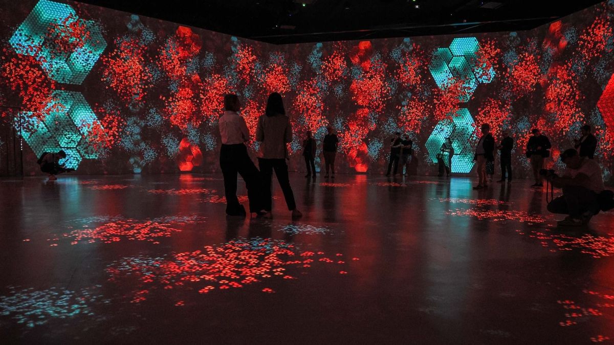 Vasarely öröksége digitális térben született újjá Veszprémben (galéria + videó)