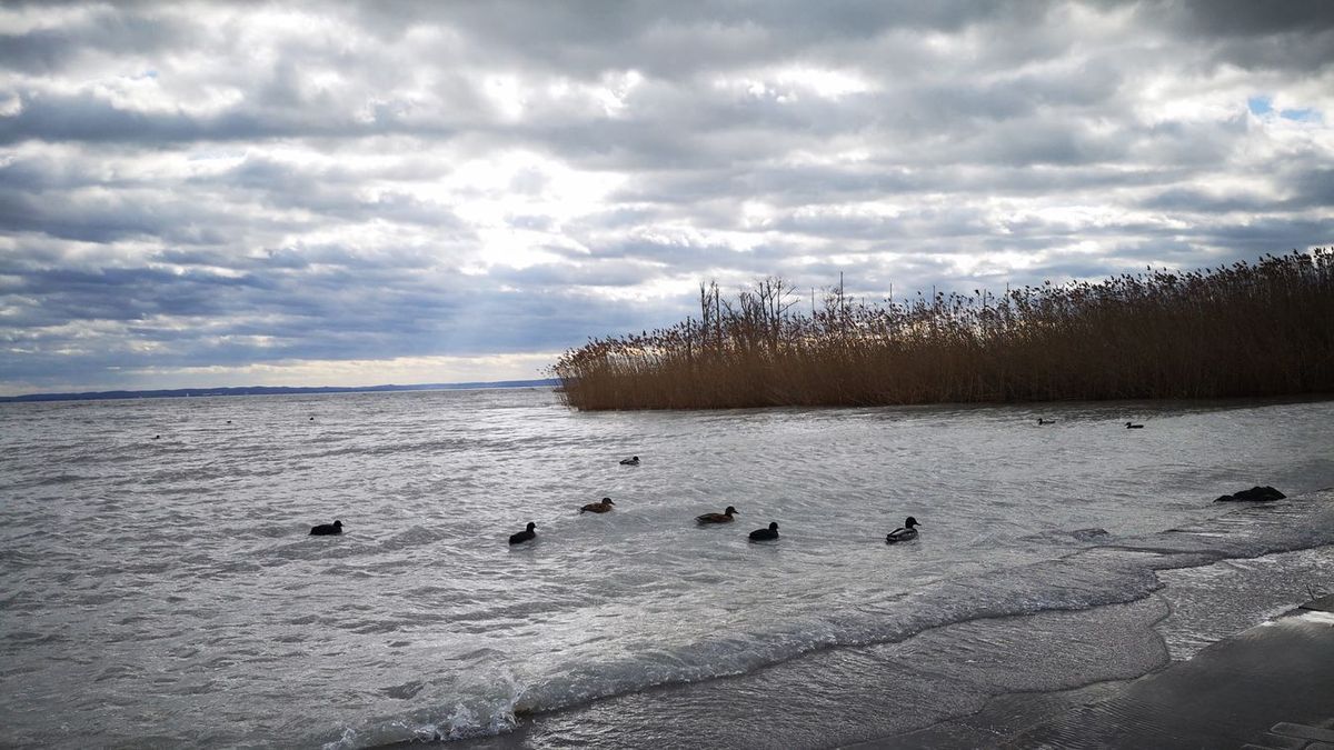 Órákon belül lecsap a vihar, zivatarok és durva széllökések érkeznek a Balatonhoz