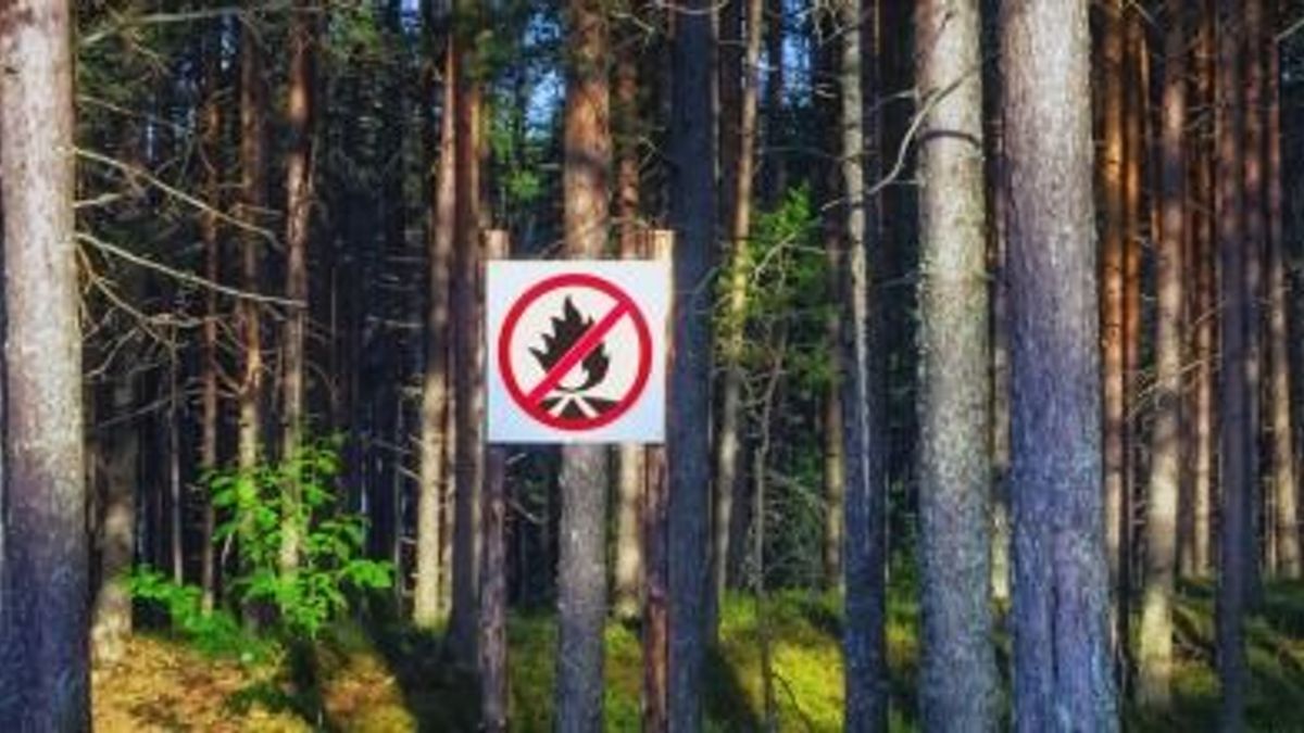 Új szabályozás: az egész országra kiterjedő tűzgyújtási tilalom lép életbe
