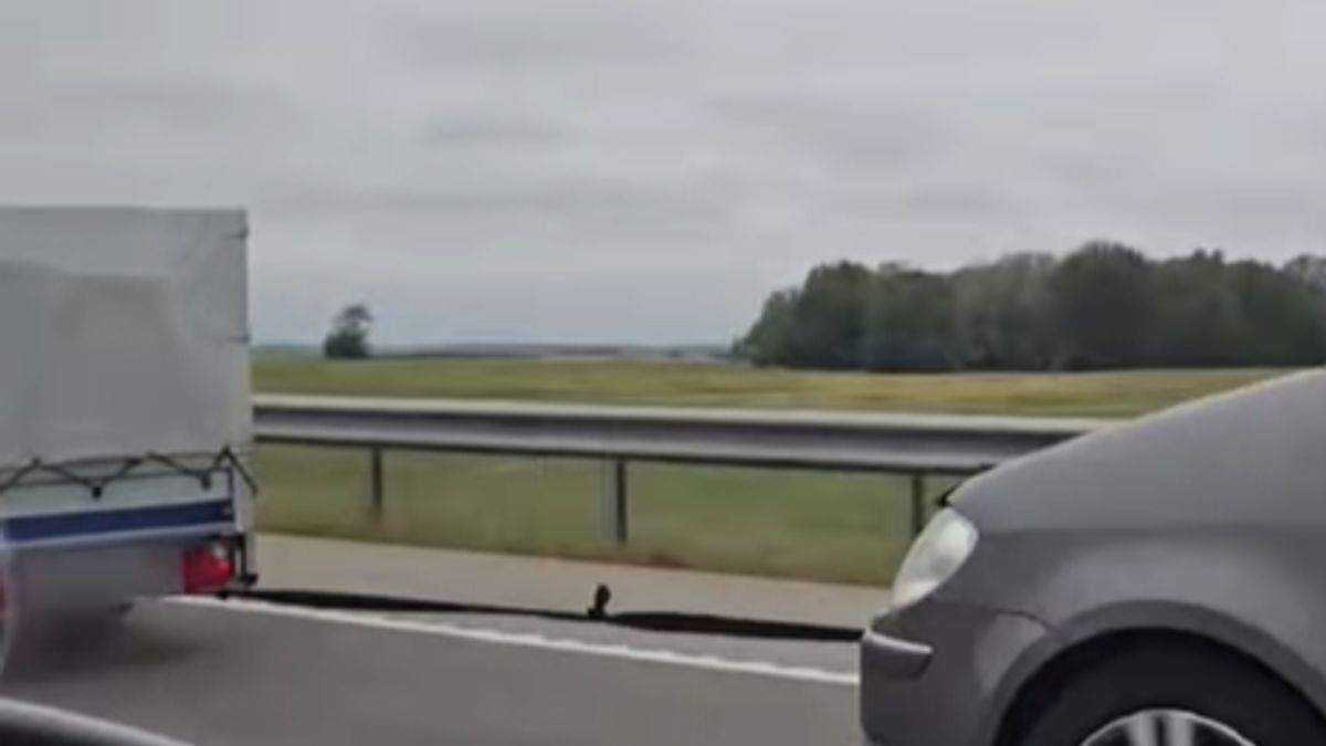 Horrorra akadva, avagy nem így kell a biztonsági övet használni! (videó)