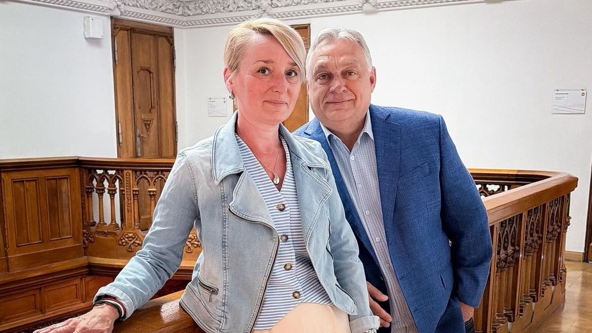 Megvan az e-mail cím, itt lehet elérni a Védvonalat