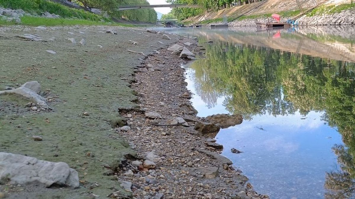 Már a Balaton is szenved, a Kis-Dunán pedig szinte át lehet sétálni