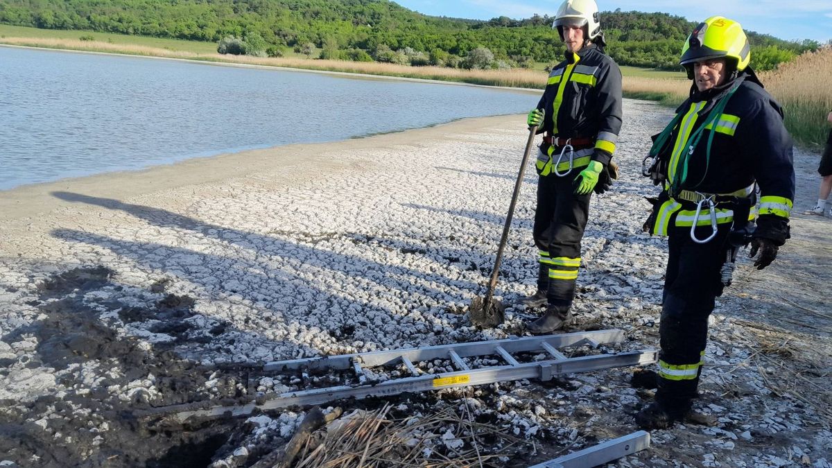 Elmerült a Belső-tó iszapjában, a tűzoltók mentették ki