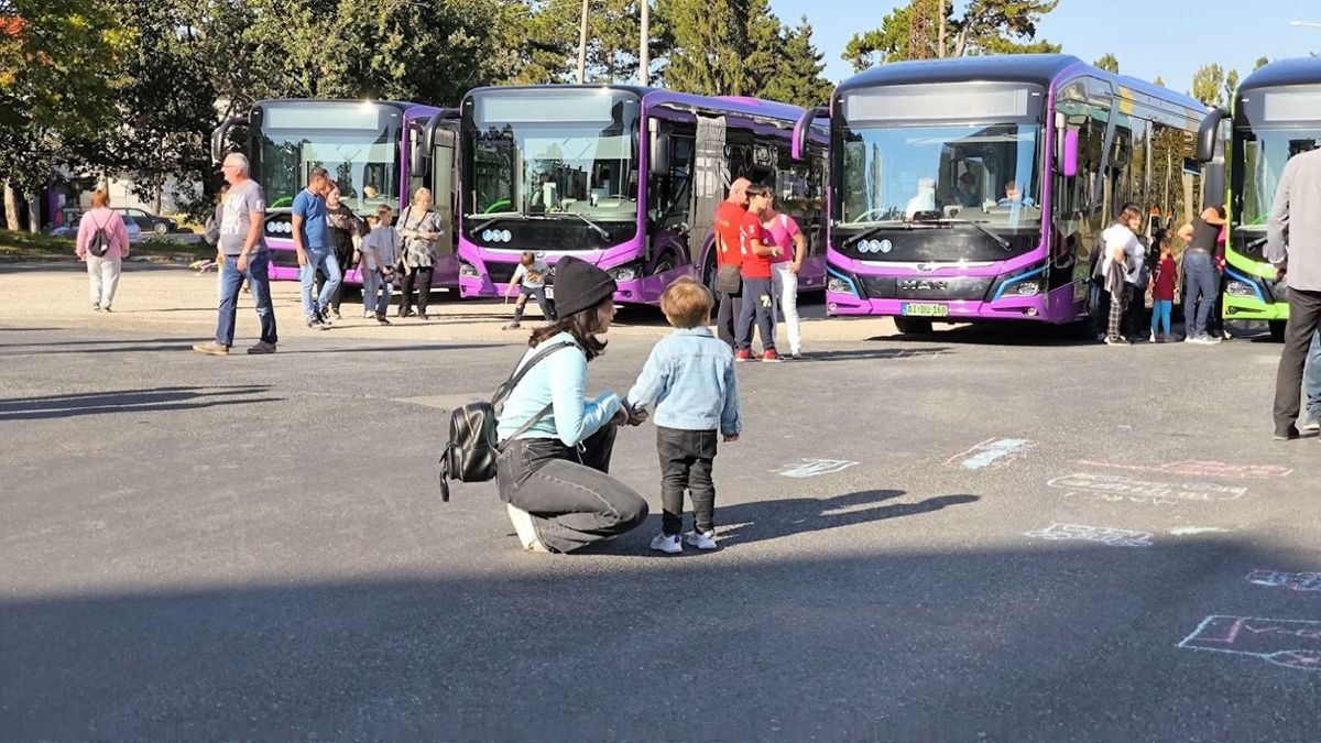 Buszsimogatás a Haszkovón a Közlekedési Kultúra Napja alkalmából
