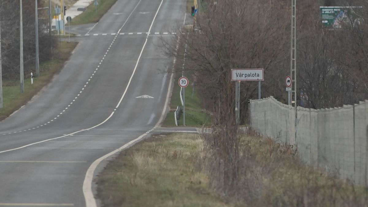Újra vadak járják Várpalotát, egyre többen félnek a lakópark környékén (videó)