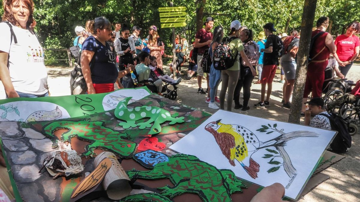 Rovarhotel lett az idei sztár: különleges Madarak és Fák Napját tartott a Veszprémi Állatkert (galéria)