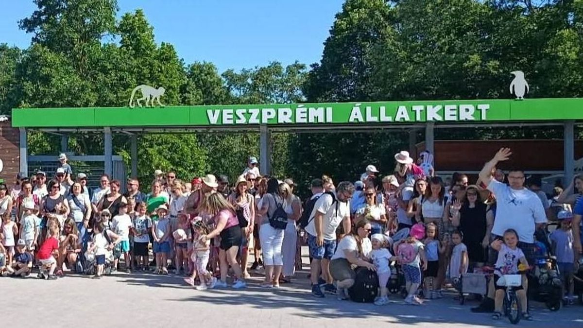 Születésnap és gyermeknap zárása a Zöldikék Óvodában