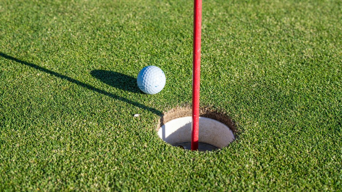 Balaton-parti golfpályán találtak egy veszélyes idegenhonos teknőst (galéria)