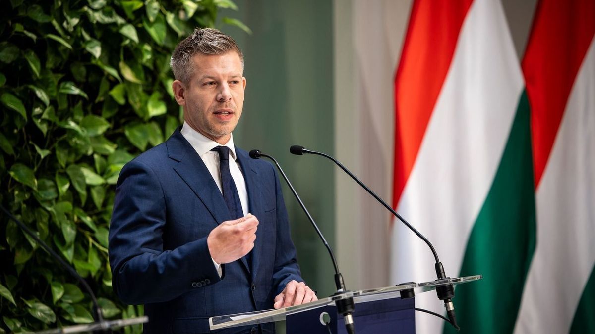 Kegyelmi ügy: nyilvánosságra hozta a kormány a dokumentumokat (videó)