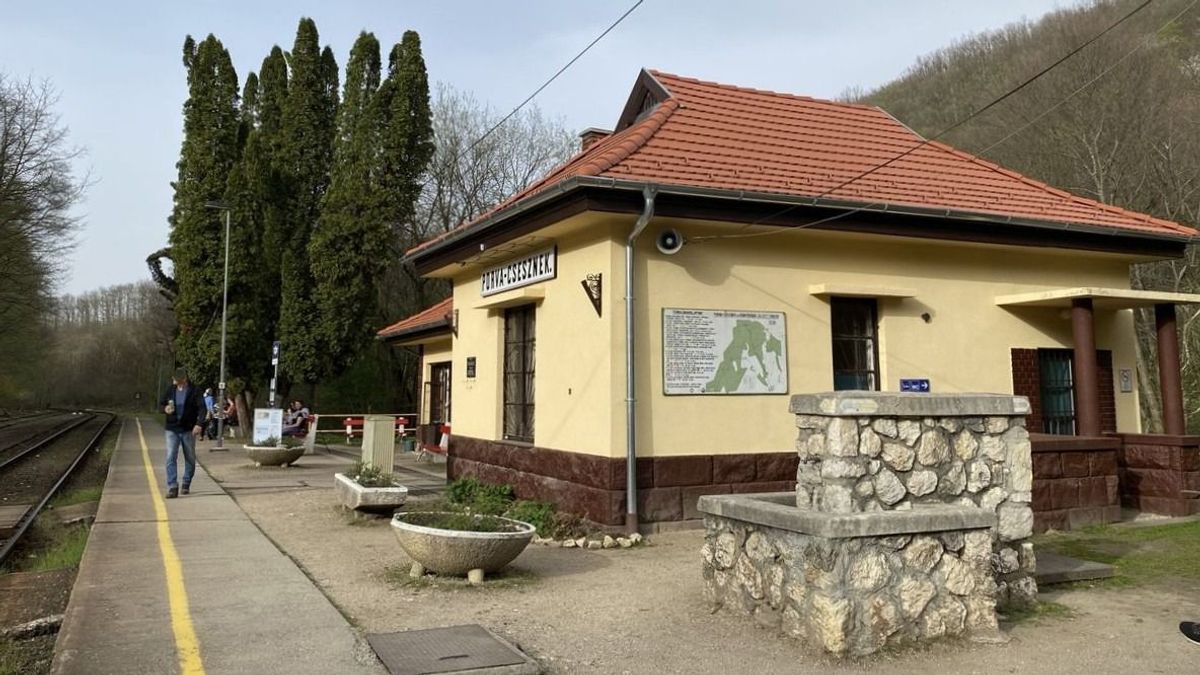 Új utakon járhatjuk be a Bakony csodás helyeit, vasútállomástól vasútállomásig
