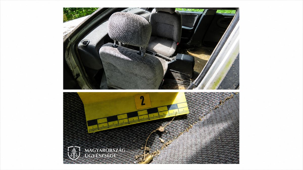 „Vadat és halat, s mi jó falat" – Nem mézet gyűjtött a balatoni rapsic