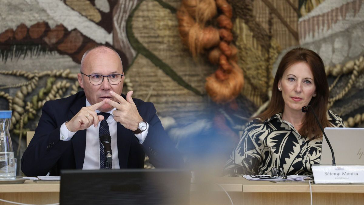 Vadkárok, viadukt és 800 milliós védőháló is napirendre került Veszprémben (galéria)