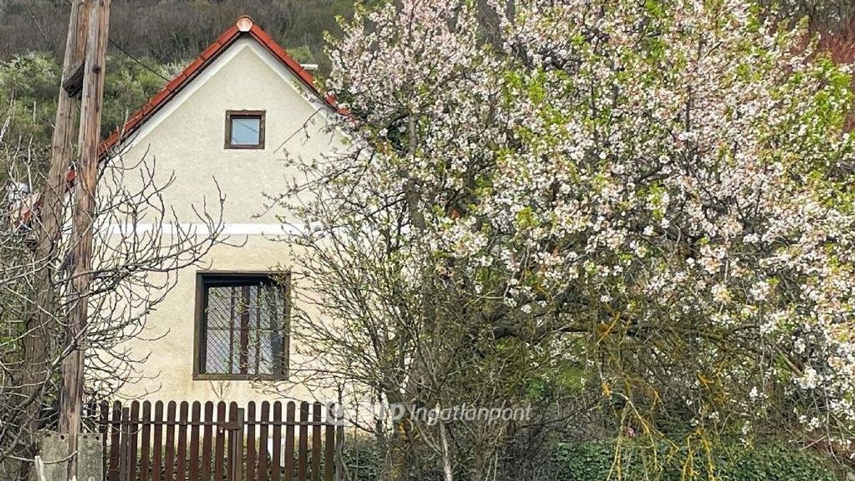 Rejtett kincs a Somló hegy lábánál: hangulatos présház keresi új tulajdonosát (+galéria)