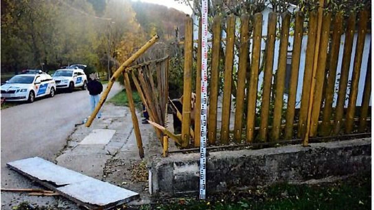 Ittasan, jogosítvány nélkül vitte el főnöke kisteherautóját egy ajkai férfi